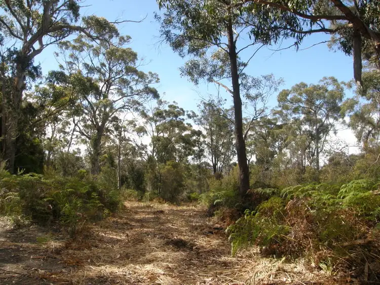 Second view of Homely land listing, Lot 2 Skeggs Ave, White Beach TAS 7184