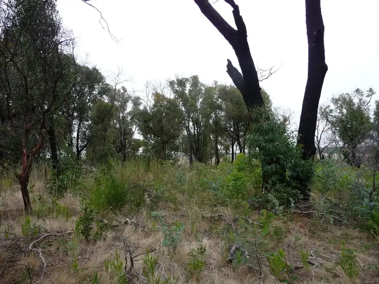 Fifth view of Homely land listing, 699 Paynes Bridge Road, Dereel VIC 3352