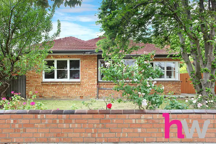 33 Vines Road, Hamlyn Heights VIC 3215
