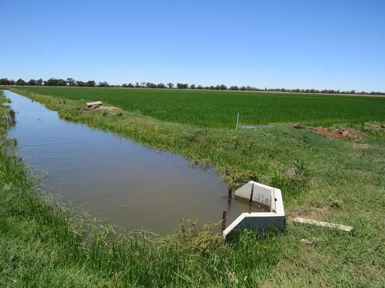 Fourth view of Homely rural property listing, "Woodlands" Hayfield Road, Finley NSW 2713