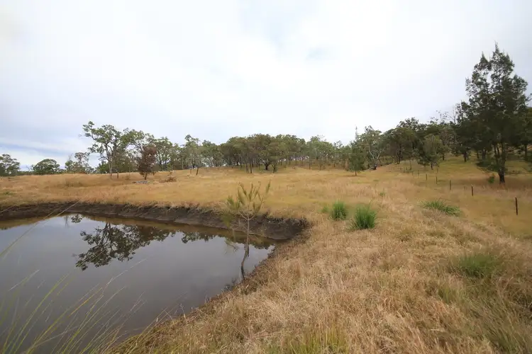 Seventh view of Homely rural property listing, 88 Mundine Road, Upper Fine Flower NSW 2460