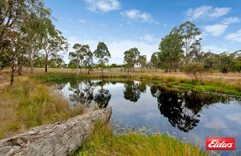 Main view of Homely house listing, 1371 Sutton Road, Sutton NSW 2620