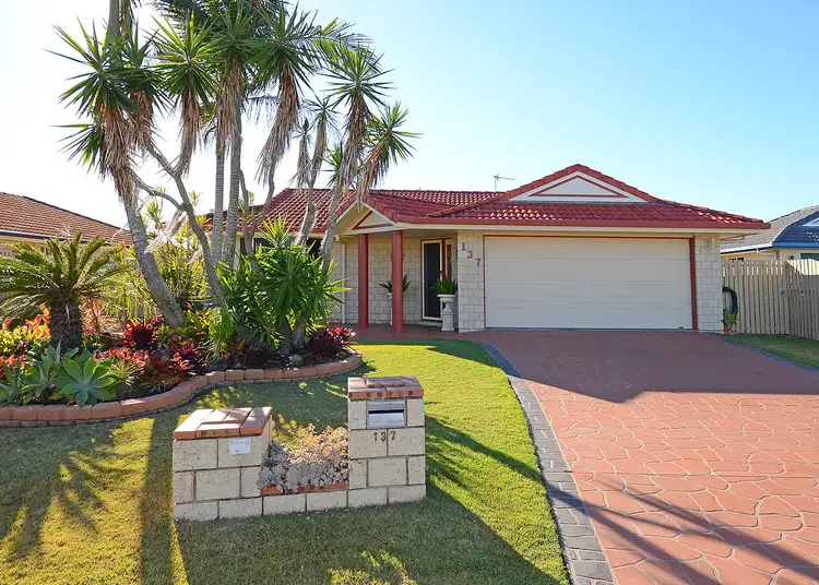 137 Ibis Boulevard, Eli Waters QLD 4655