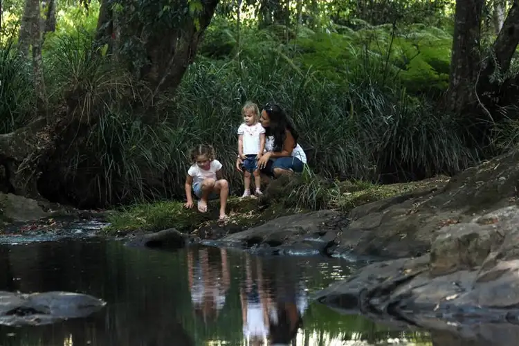 Fourth view of Homely land listing, Lot 93 Palmerston Crescent, Beerwah QLD 4519
