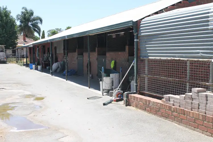 22 Epsom Avenue, Ascot WA 6104