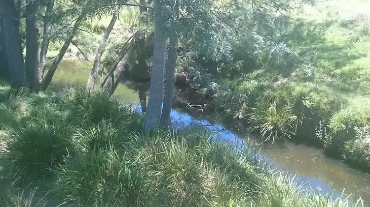 Fifth view of Homely rural property listing, Chads Road Chads Creek Rd, Gresford NSW 2311