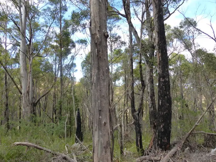 Second view of Homely land listing, 9 Wielangta Road, Kellevie TAS 7176