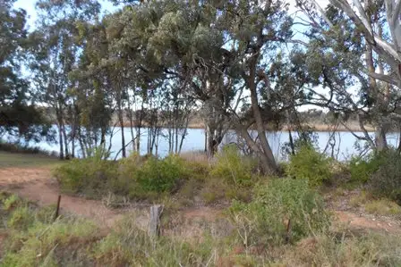 Lot 63 Alma Street, Renmark SA 5341