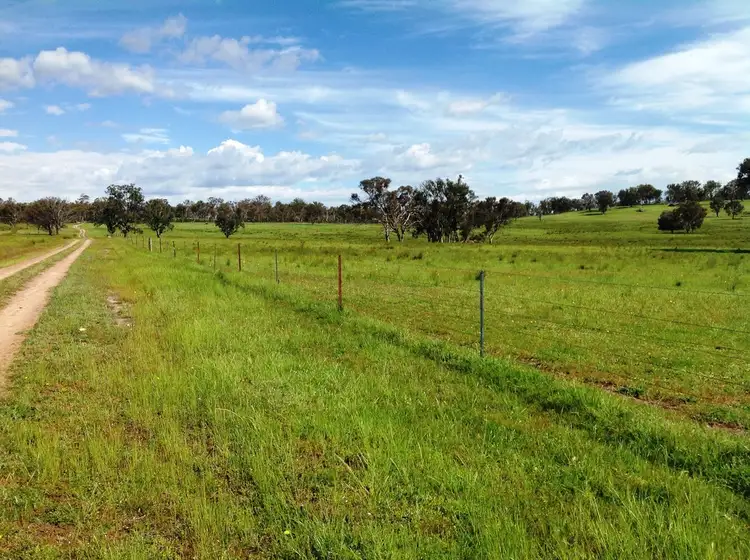 Fifth view of Homely rural property listing, "Dalveen" New England Highway, Bendemeer NSW 2355