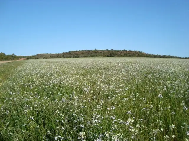 Main view of Homely land listing, Lot 78 Chapman Valley Road, Nanson WA 6532