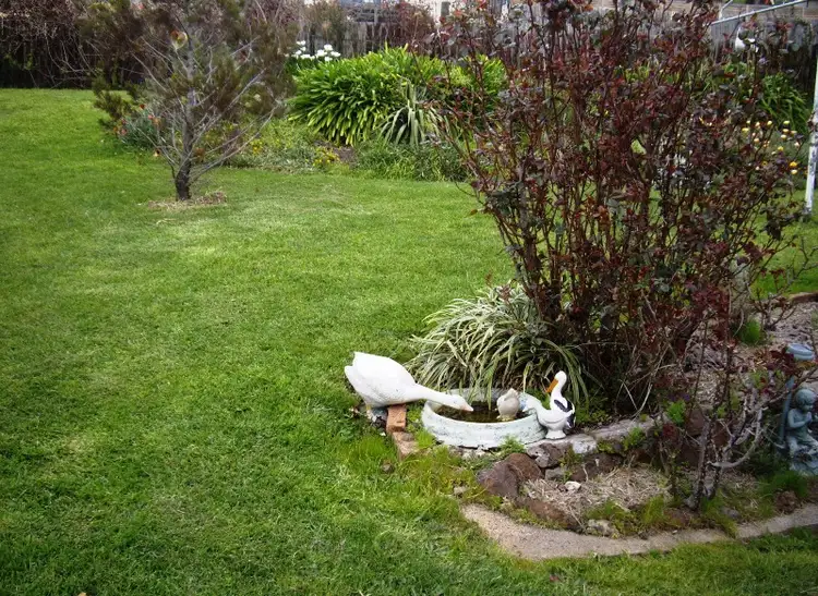 Fourth view of Homely house listing, 15 Silvester Street, Casterton VIC 3311