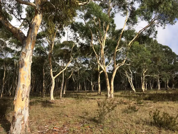 Sixth view of Homely rural property listing, 296 Fernleigh Close, Windellama NSW 2580