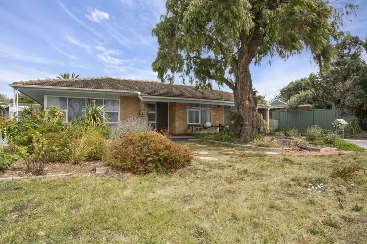 7 Oakley Street, Semaphore Park SA 5019