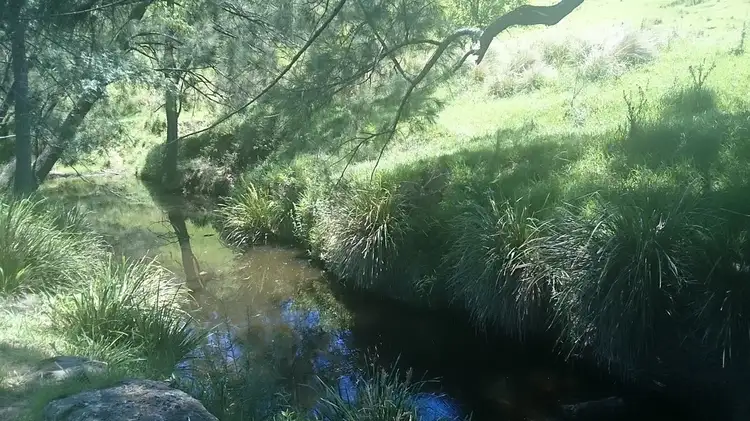 Sixth view of Homely rural property listing, Chads Road Chads Creek Rd, Gresford NSW 2311