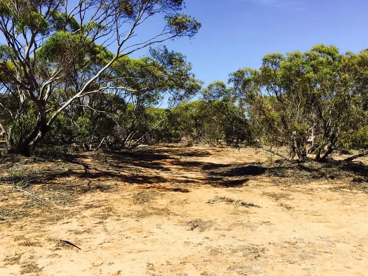 Sixth view of Homely rural property listing, 2007 Boundary Rd, Murray Bridge East SA 5253