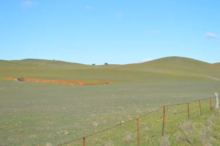 Fourth view of Homely rural property listing, 492 BANBURY ROAD, Hallett SA 5419