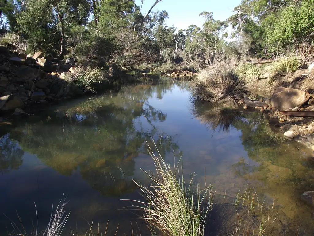 Main view of Homely rural property listing, 30 Bresnehans Road, Little Swanport TAS 7190