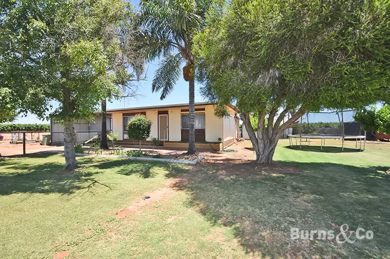 Main view of Homely house listing, 33 Cudgee Road, Dareton NSW 2717