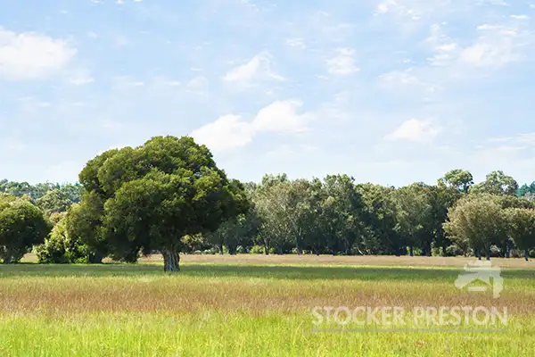 Sixth view of Homely land listing, 801 Tuart Drive, Ludlow WA 6280
