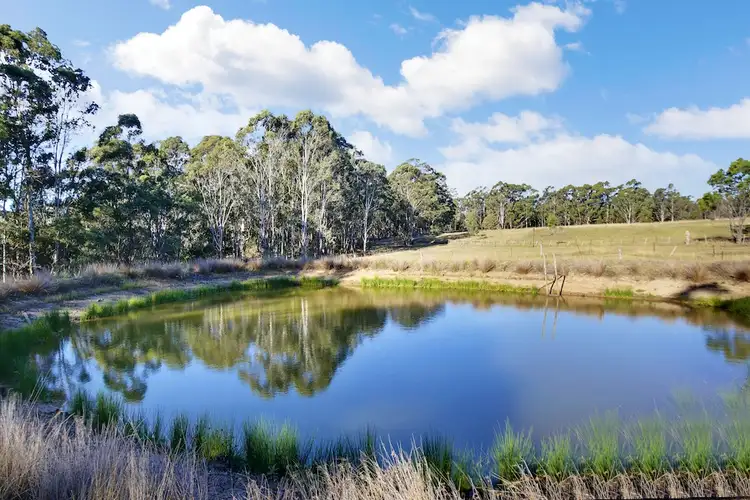 Fourth view of Homely rural property listing, 155 Donalds Range Road, Razorback NSW 2571