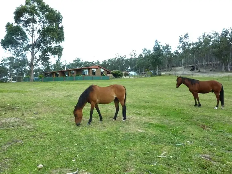 Seventh view of Homely house listing, 855 Arthur Highway, Forcett TAS 7173