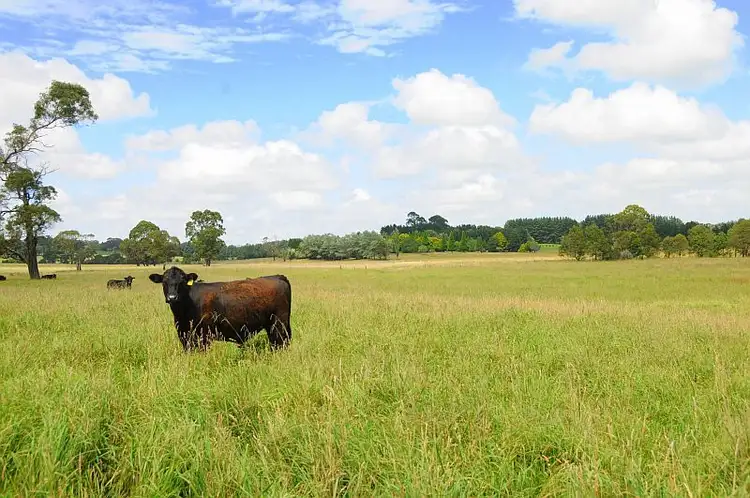Second view of Homely rural property listing, Lot 318 Illawarra Highway, Moss Vale NSW 2577
