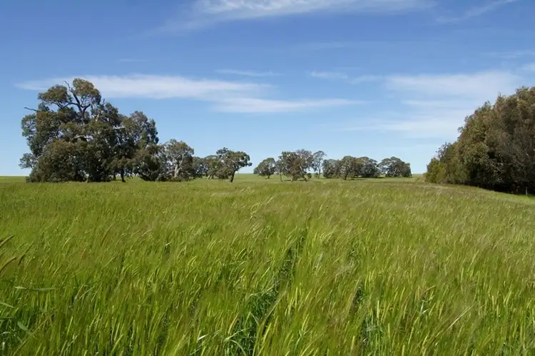 Fifth view of Homely rural property listing, 2409 Mortlake-Ararat Road, Woorndoo VIC 3272
