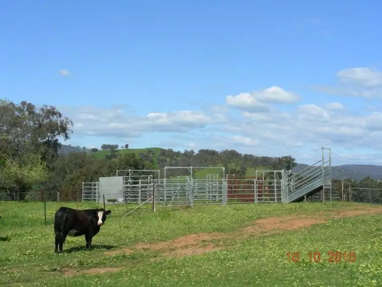 Sixth view of Homely rural property listing, - N/ A Wilkinsons Road Tarcutta via, Wagga Wagga NSW 2650