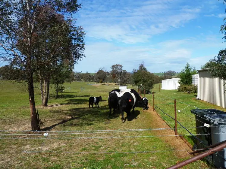 Seventh view of Homely house listing, 109 James White Drive, Bathurst NSW 2795