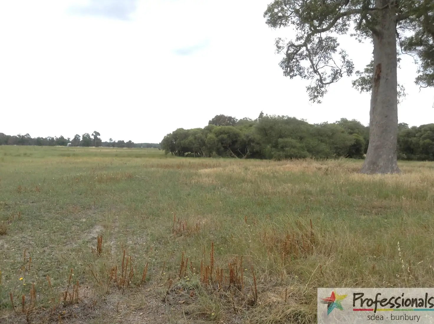 Main view of Homely rural property listing, Address available on request