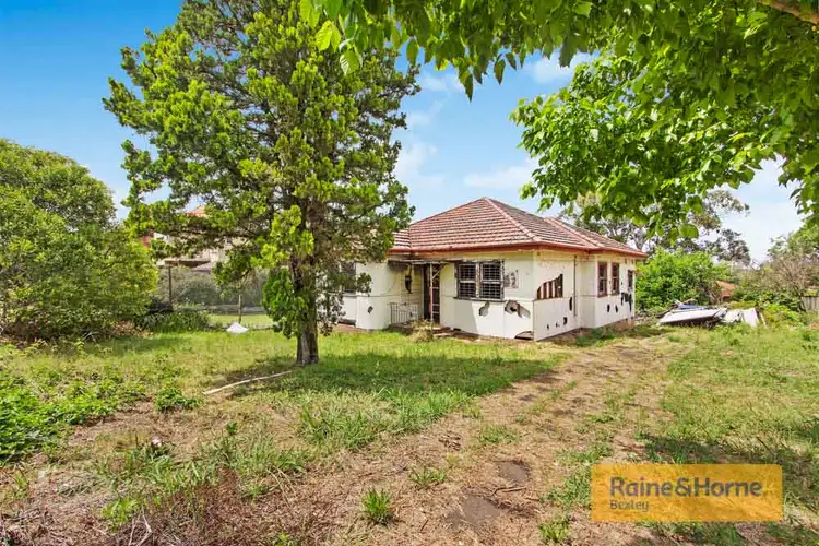 41 Bellevue Street, North Parramatta NSW 2151