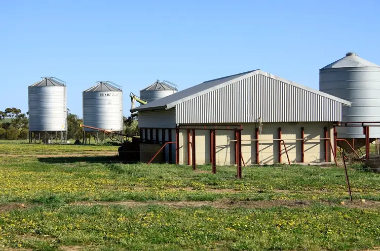 Sixth view of Homely rural property listing, 3929 Calingiri-Goomalling Rd, Goomalling WA 6460