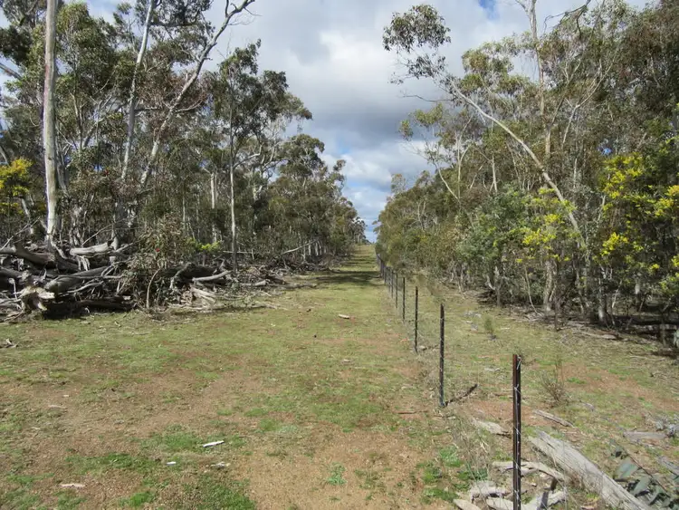 Seventh view of Homely rural property listing, 466 Caddigat Rd, Dry Plain NSW 2630