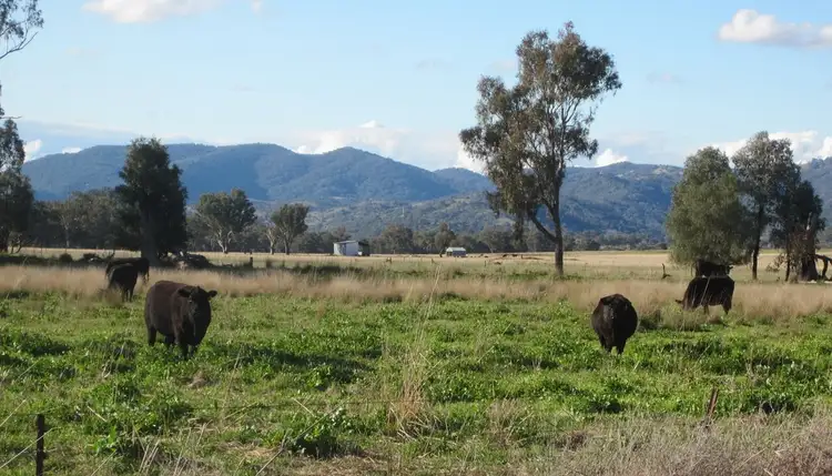 Fifth view of Homely rural property listing, 2405 Duri Dungowan Road, Loomberah NSW 2340