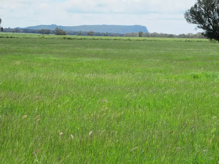 Third view of Homely rural property listing, 175 Noradjuha Tooan East Road, Horsham VIC 3400