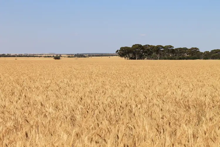 Third view of Homely rural property listing, 140 Tolland Road, Karlgarin WA 6358