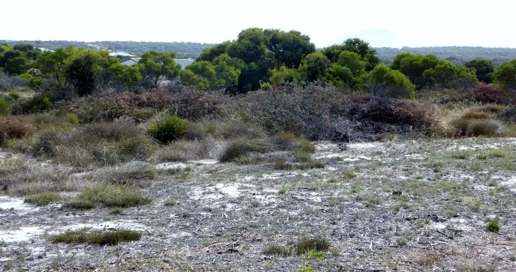 Main view of Homely land listing, 33 Boronia, Hopetoun WA 6348