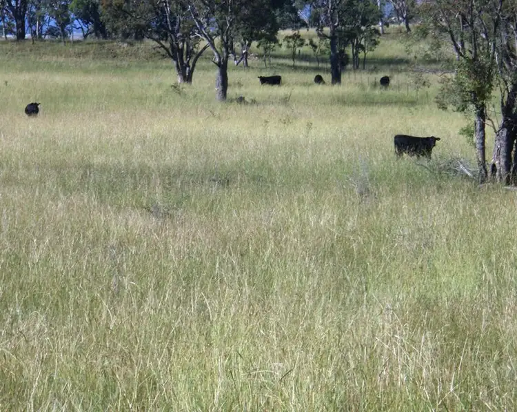 Sixth view of Homely rural property listing, 665 Copeton Dam Rd, Inverell NSW 2360