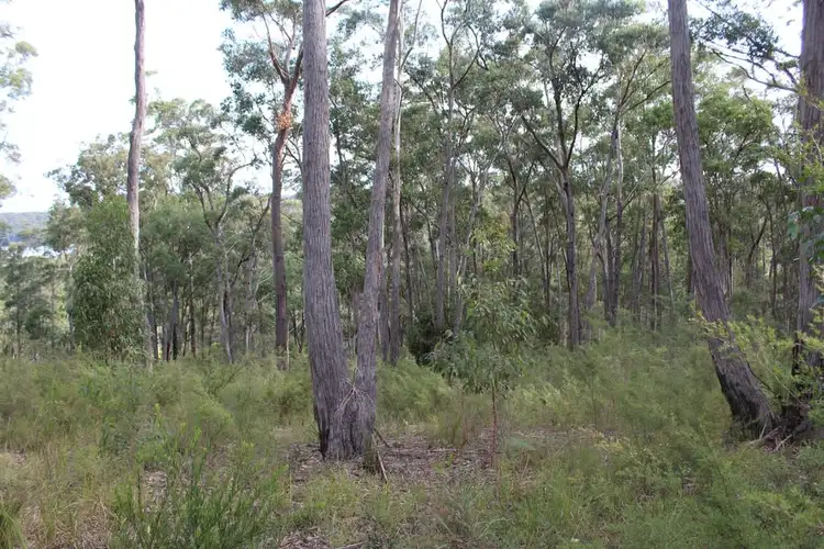 Seventh view of Homely land listing, Lot 19 Old Nelligen Road, Nelligen NSW 2536