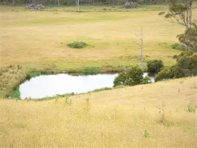 Third view of Homely rural property listing, 279 Burnside Road, North Scottsdale TAS 7260