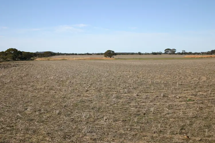 Sixth view of Homely rural property listing, 2262 Hyden Kondinin Road, Kondinin WA 6367
