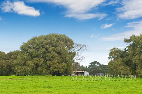 Fourth view of Homely rural property listing, P/L 101 WEST RD, Cowaramup WA 6284