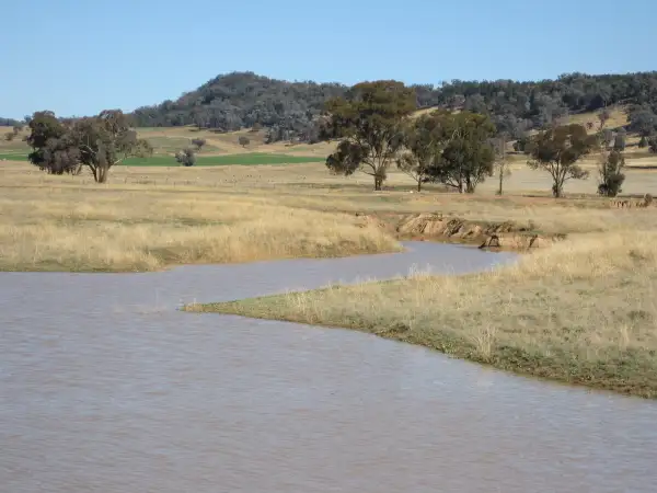 Fourth view of Homely rural property listing, 629 Sutherland Road, Cowra NSW 2794