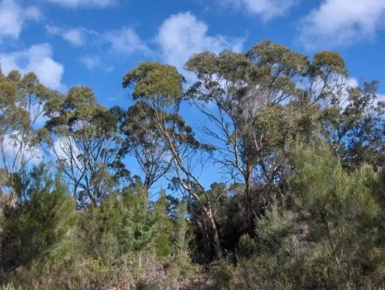 Main view of Homely land listing, 179 Potboil Road, Flinders Island TAS 7255