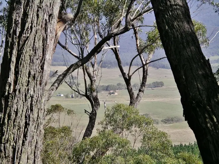 Fourth view of Homely rural property listing, Lot 1 & 217 Kain Cross Road, Krawarree NSW 2622