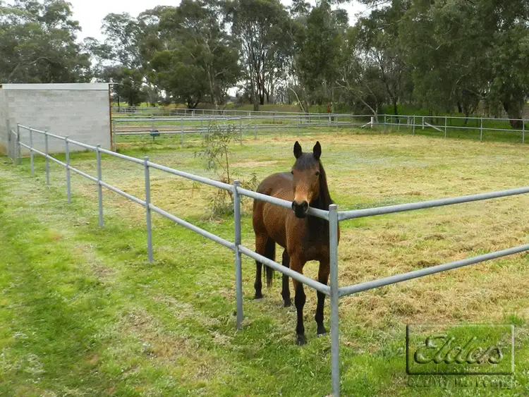 Third view of Homely house listing, 64 Lomas Road, Goornong VIC 3557