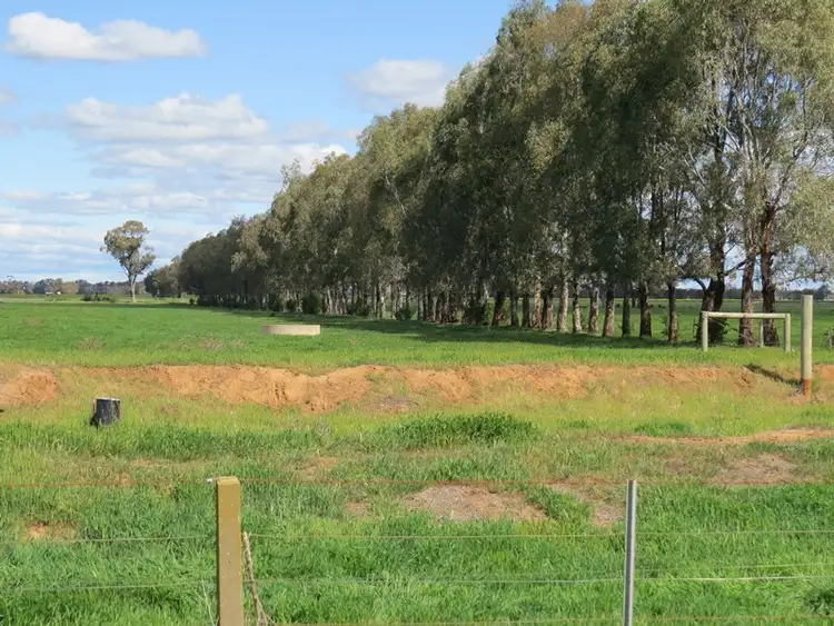 Second view of Homely rural property listing, 193 Allens Road, Numurkah VIC 3636