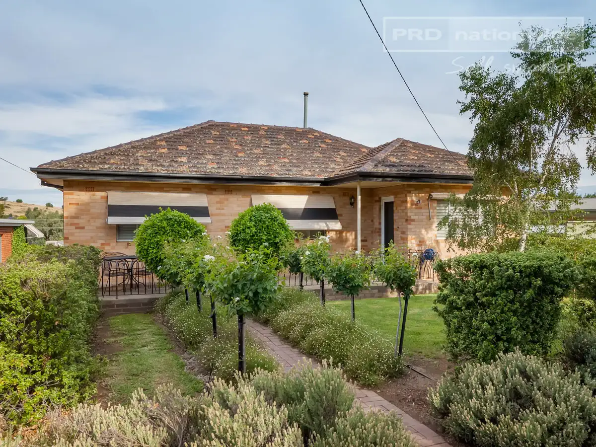 Main view of Homely house listing, 33 Grove Street, Kooringal NSW 2650