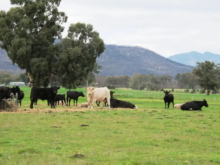 Third view of Homely rural property listing, # Brimpaen Laharum Road Laharum Via, Horsham VIC 3400