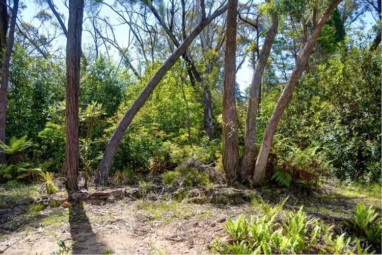 Second view of Homely land listing, 64 Kanimbla Valley Road, Mount Victoria NSW 2786